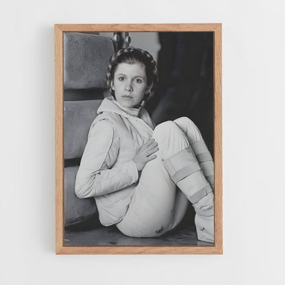ap-princess leia-4 cadre Bois clair