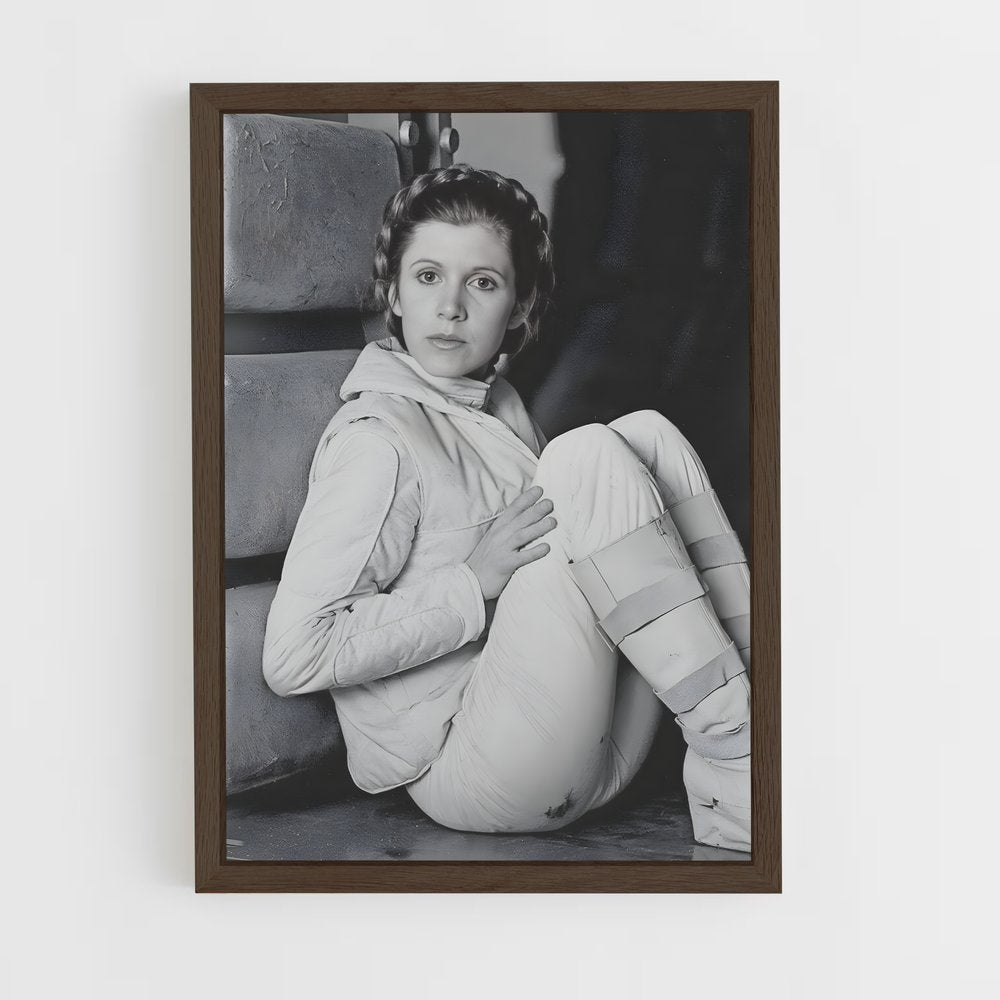 ap-princess leia-4 cadre Bois foncé