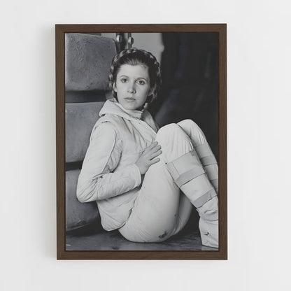 ap-princess leia-4 cadre Bois foncé
