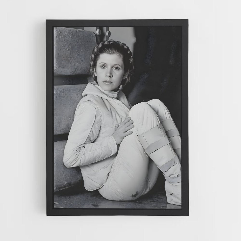 ap-princess leia-4 cadre Noir