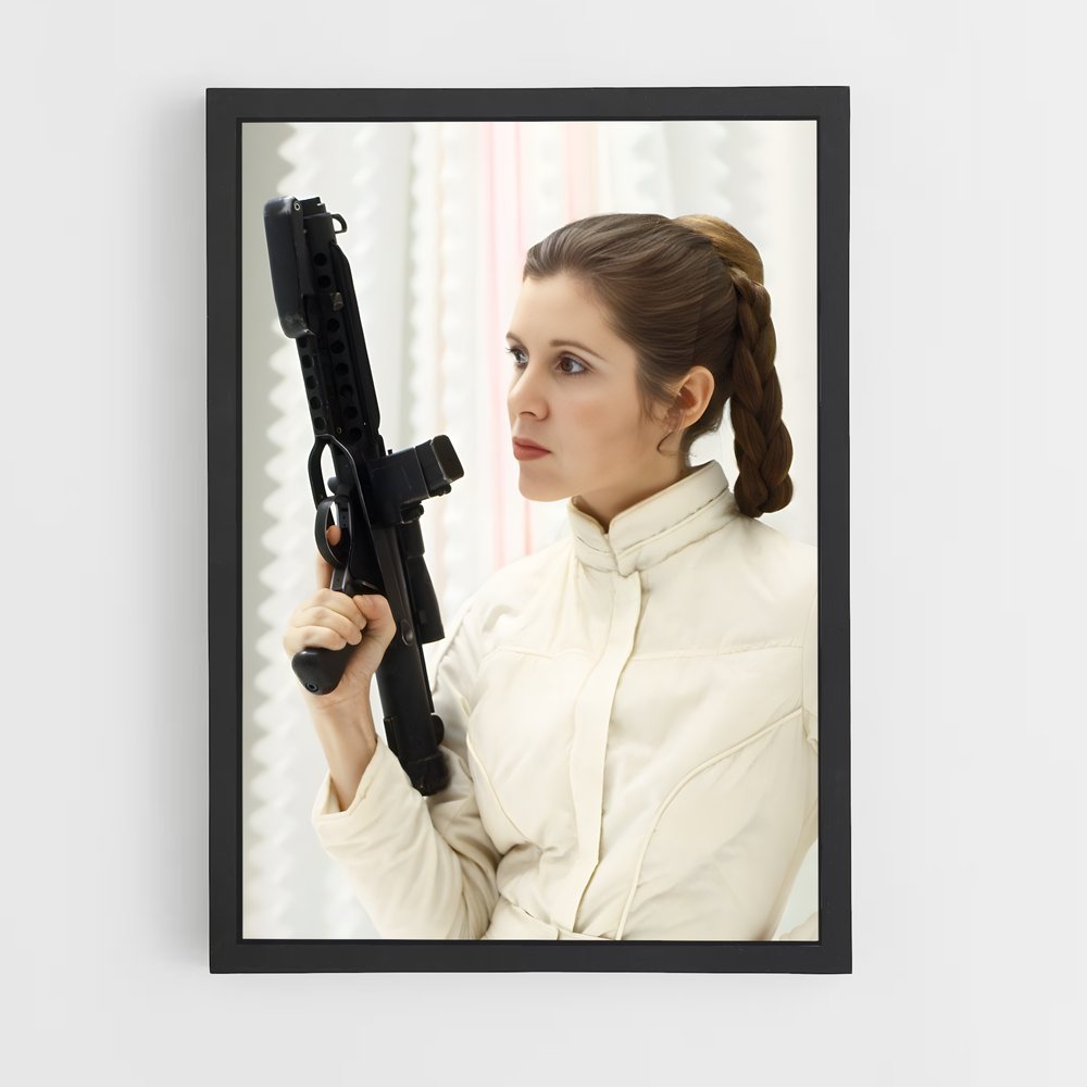 ap-princess leia-5 cadre Noir