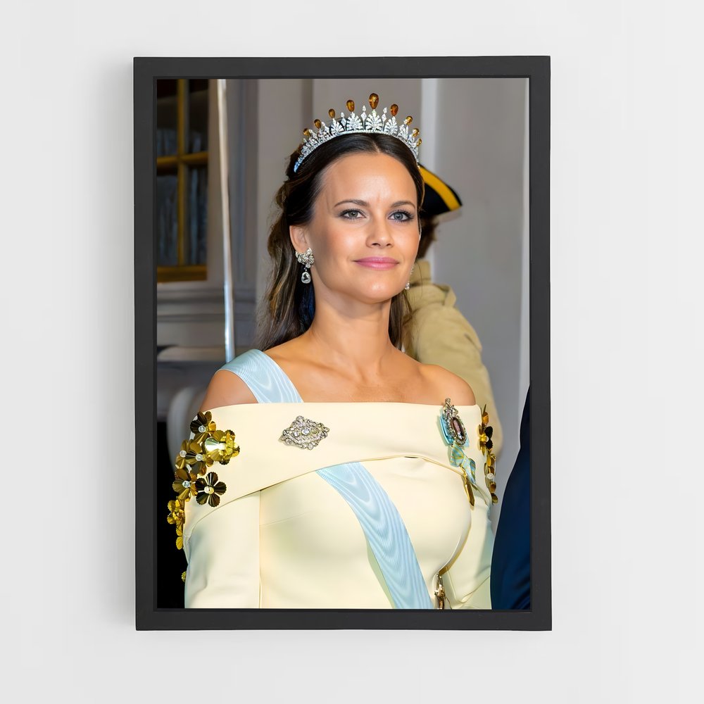 ap-princess sofia-3 cadre Noir