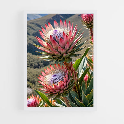 ap-protea-1 cadre Blanc