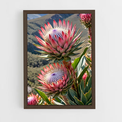 ap-protea-1 cadre Bois foncé