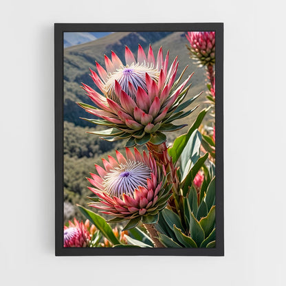 ap-protea-1 cadre Noir