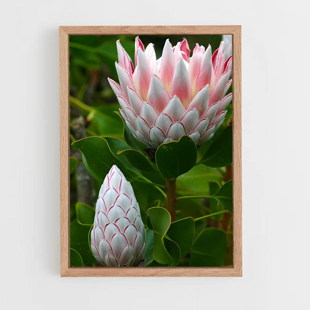 ap-protea-11 cadre Bois clair
