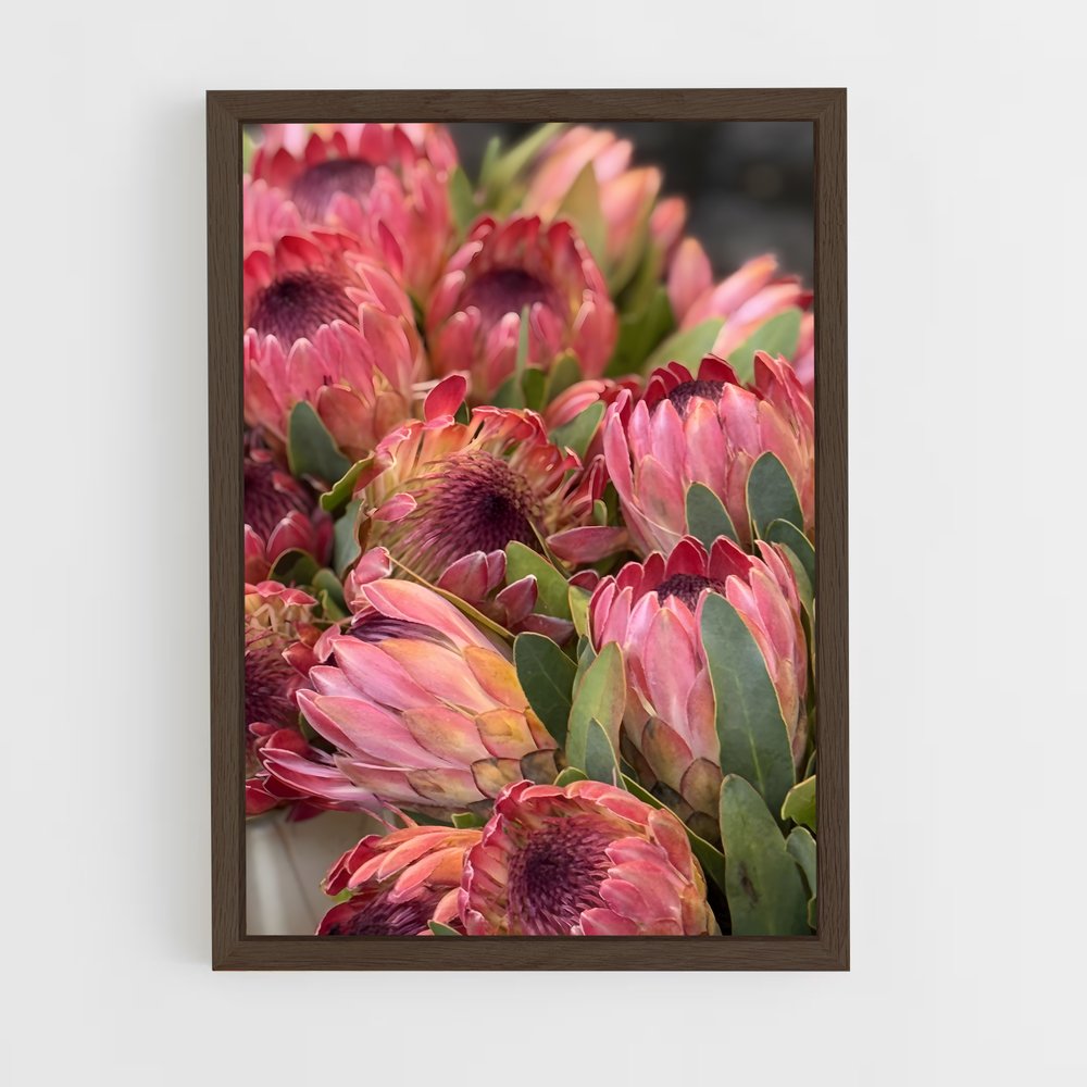 ap-protea-5 cadre Bois foncé