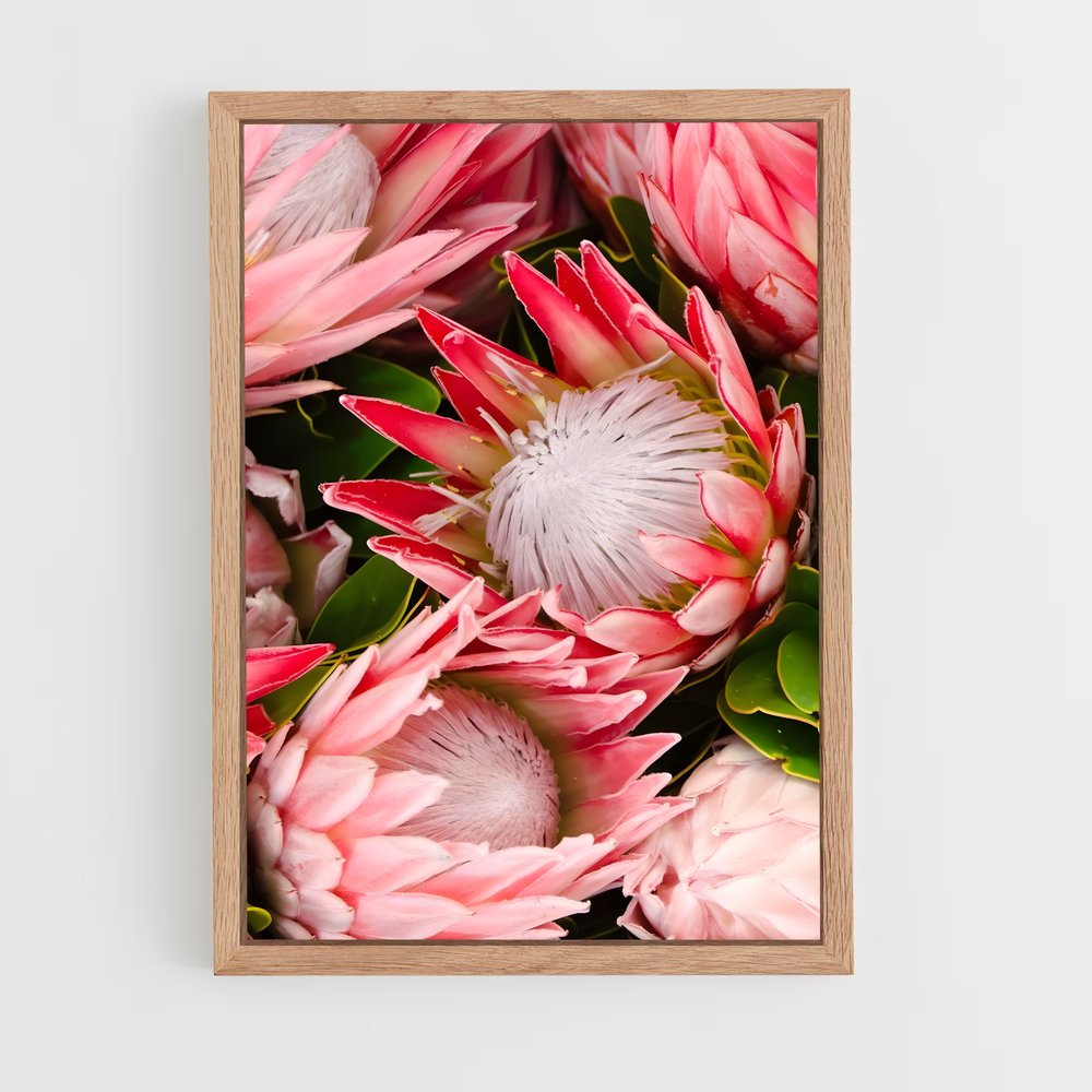 ap-protea-6 cadre Bois clair