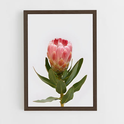 ap-protea-8 cadre Bois foncé