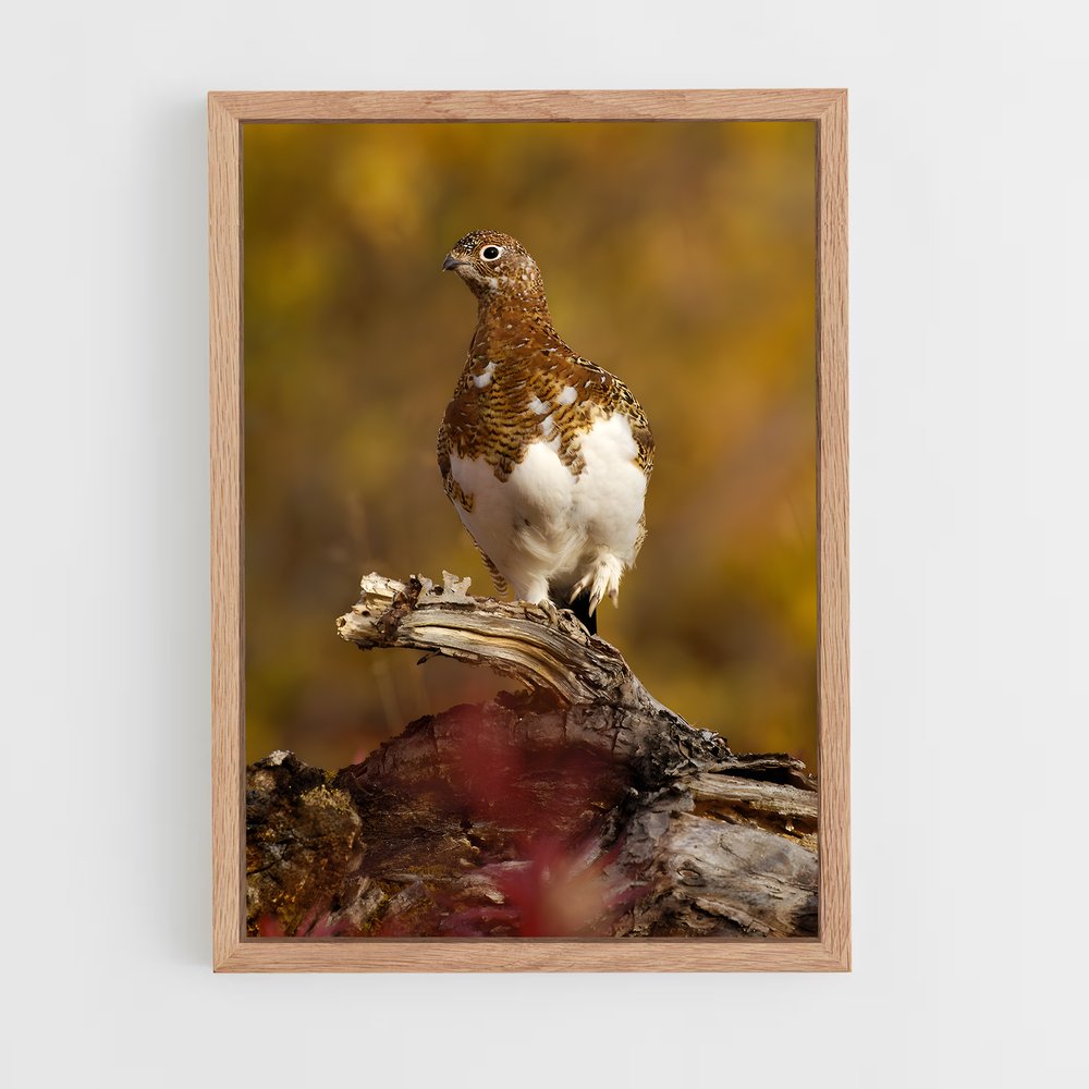 ap-ptarmigan-3 cadre Bois clair
