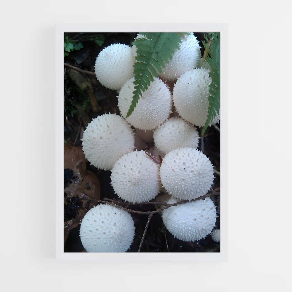 ap-puffball-1 cadre Blanc