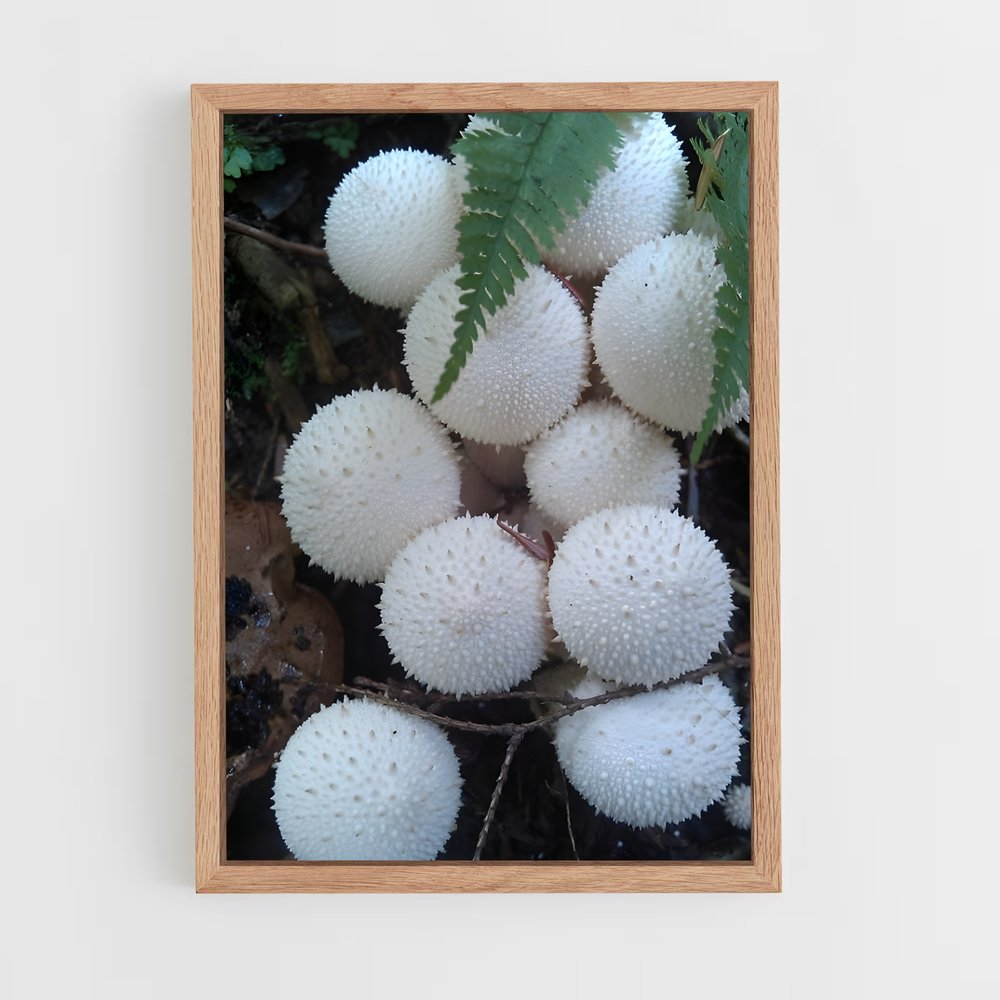ap-puffball-1 cadre Bois clair