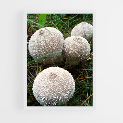 ap-puffball-2 cadre Blanc