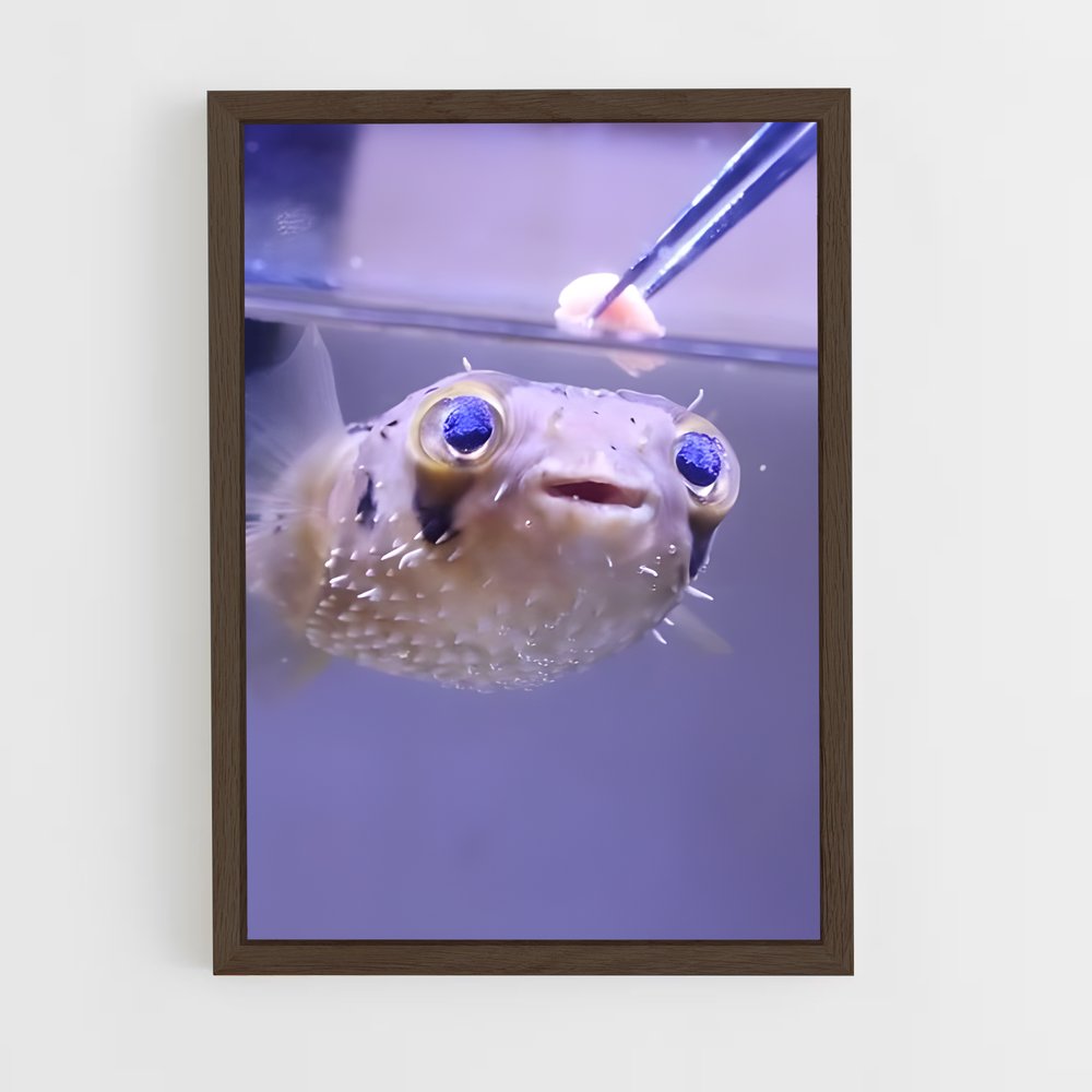 ap-pufferfish-1 cadre Bois foncé