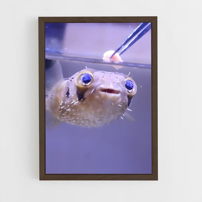 ap-pufferfish-1 cadre Bois foncé