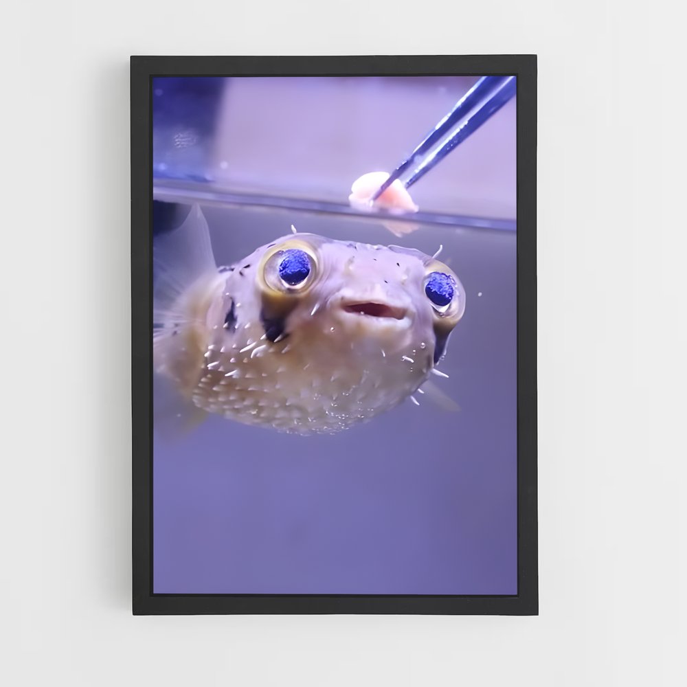 ap-pufferfish-1 cadre Noir