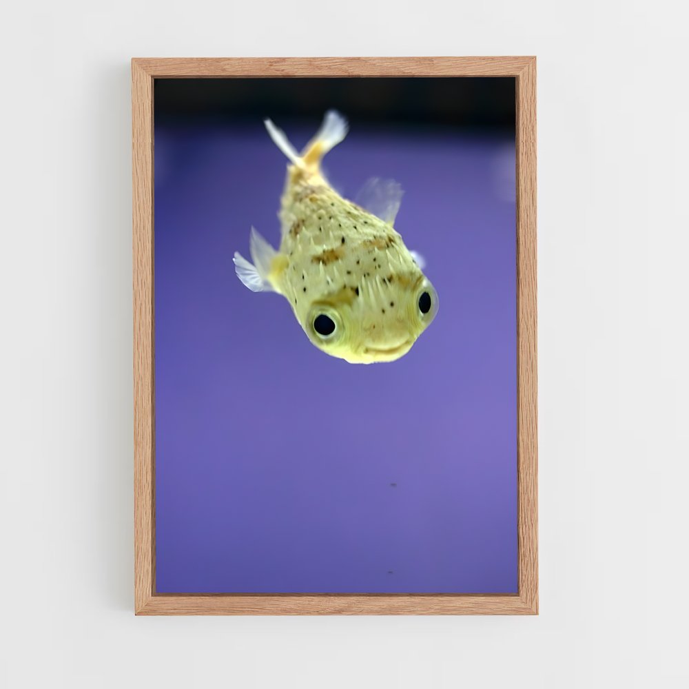 ap-pufferfish-2 cadre Bois clair