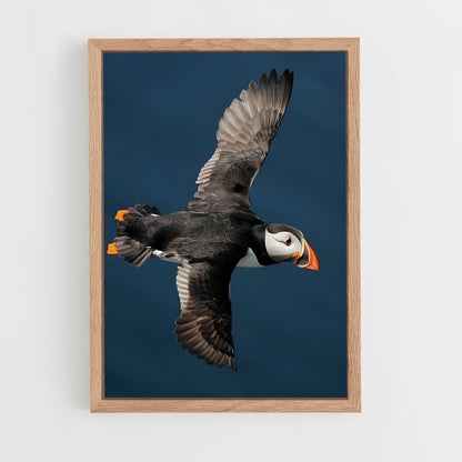 ap-puffin-8 cadre Bois clair