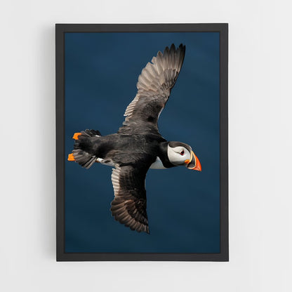 ap-puffin-8 cadre Noir