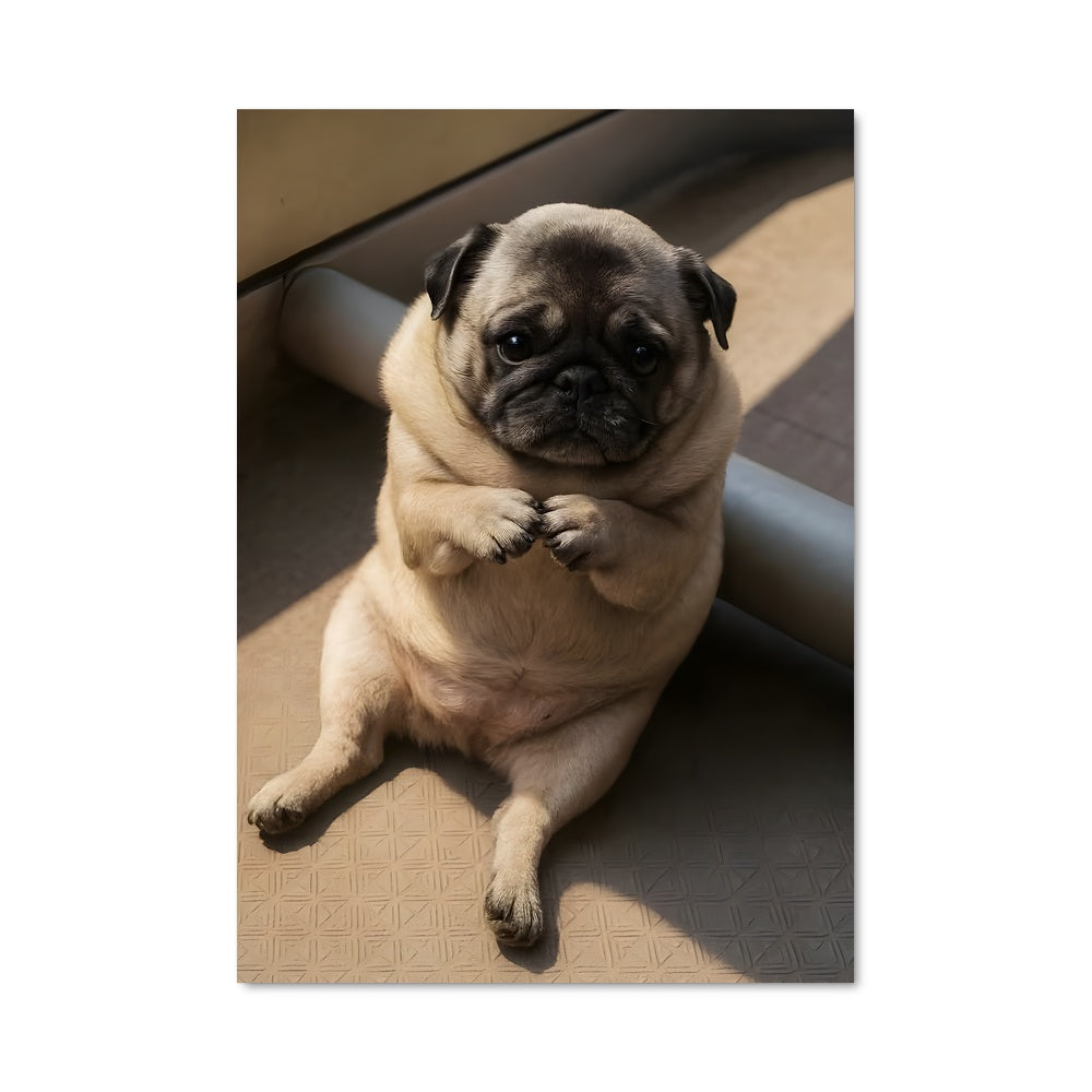 Poster Pug Life