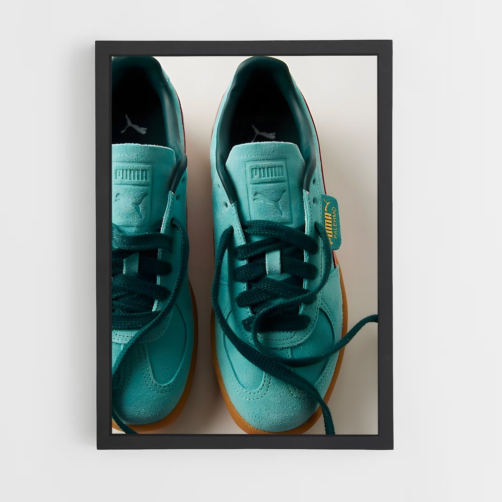 ap-puma-15 cadre Noir