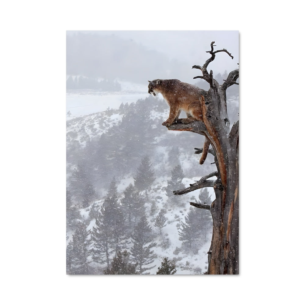 Poster Puma 84213