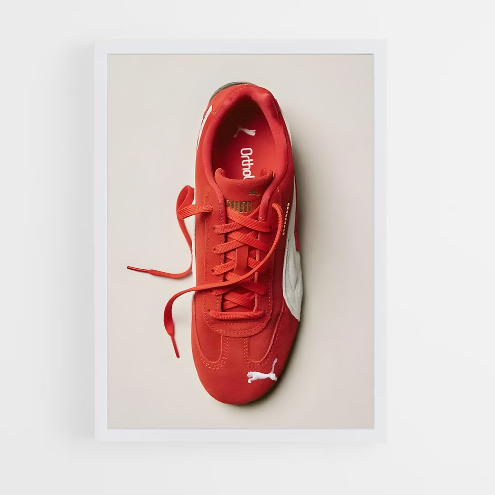 ap-puma-4 cadre Blanc