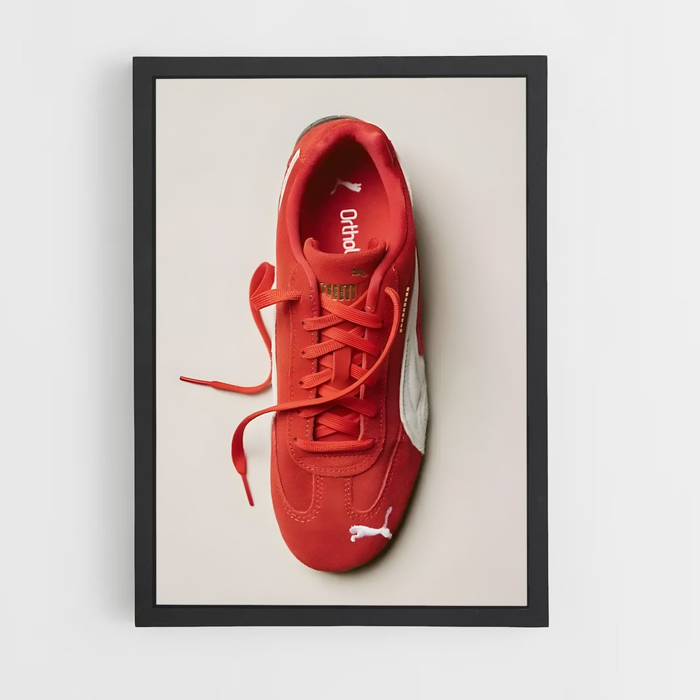 ap-puma-4 cadre Noir