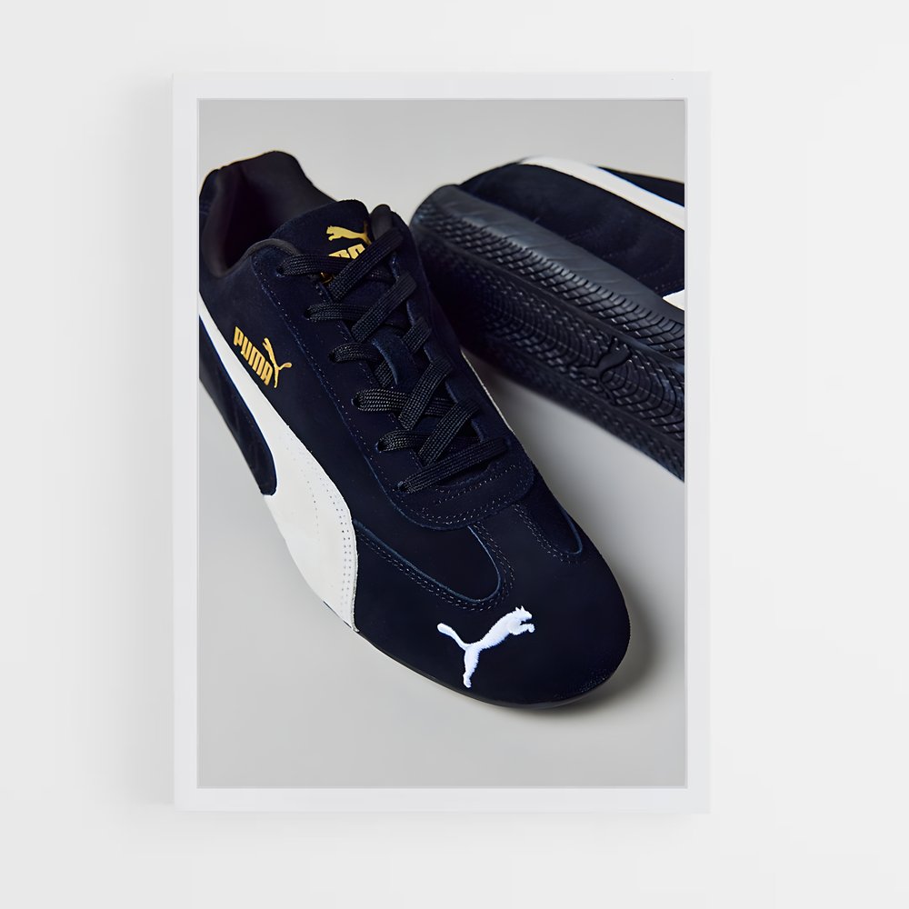 ap-puma-6 cadre Blanc