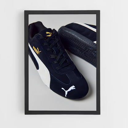 ap-puma-6 cadre Noir