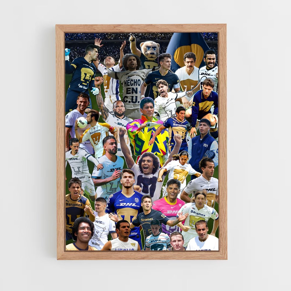 ap-pumas unam-3 cadre Bois clair