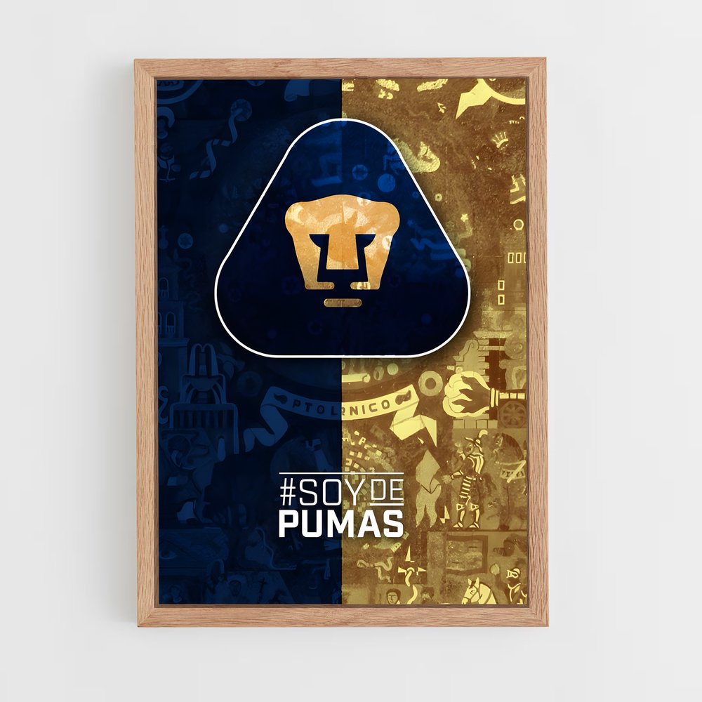 ap-pumas unam-6 cadre Bois clair