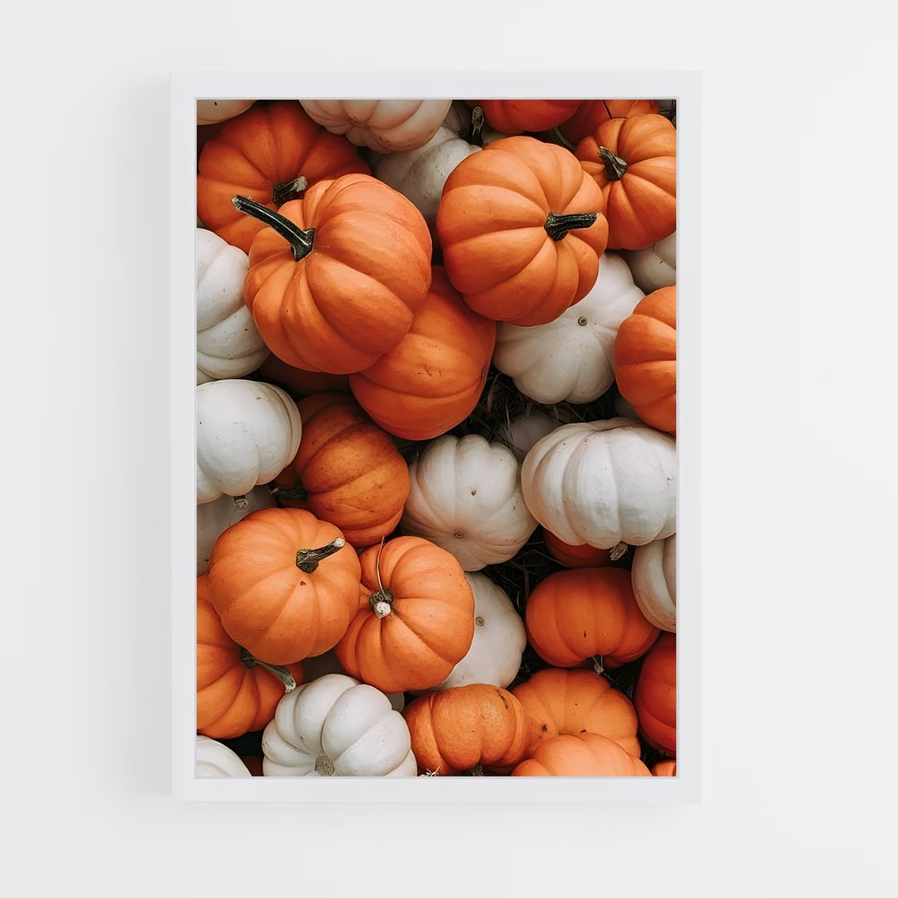 ap-pumpkin-1 cadre Blanc