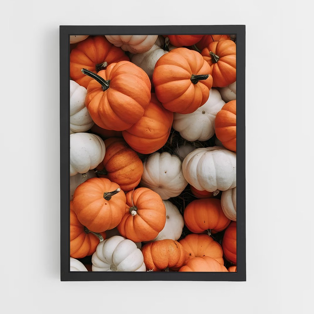 ap-pumpkin-1 cadre Noir