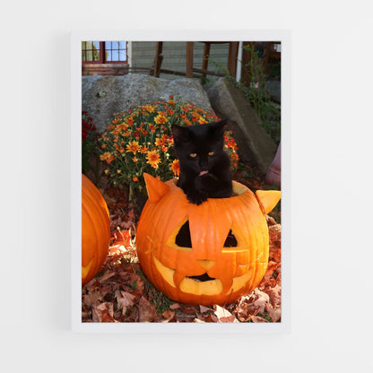 ap-pumpkin-4 cadre Blanc