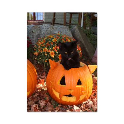 Poster Minou Magique