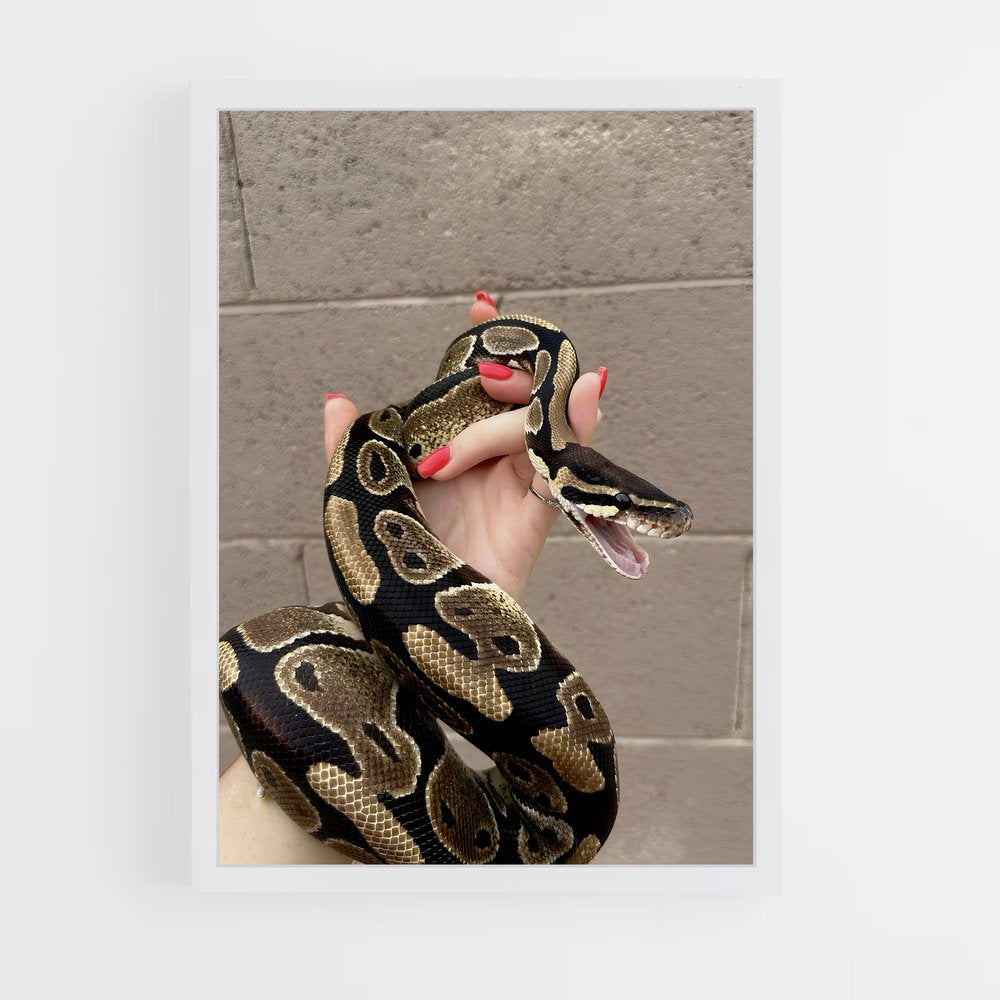 ap-python-3 cadre Blanc