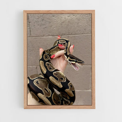 ap-python-3 cadre Bois clair
