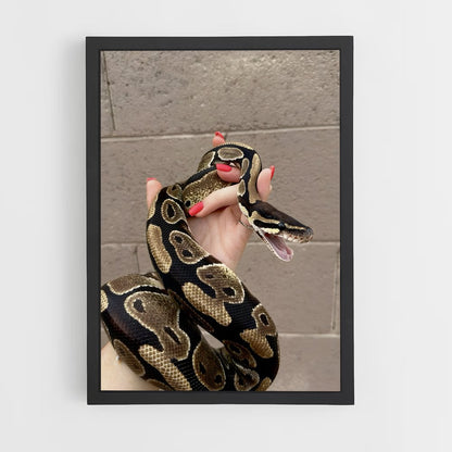ap-python-3 cadre Noir