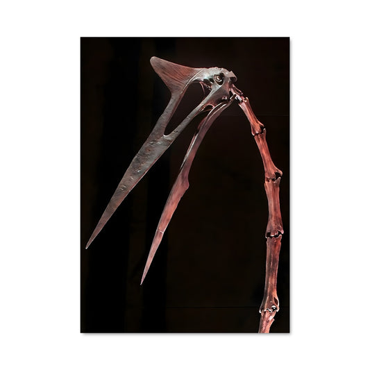 Poster L'Envol du Quetzal