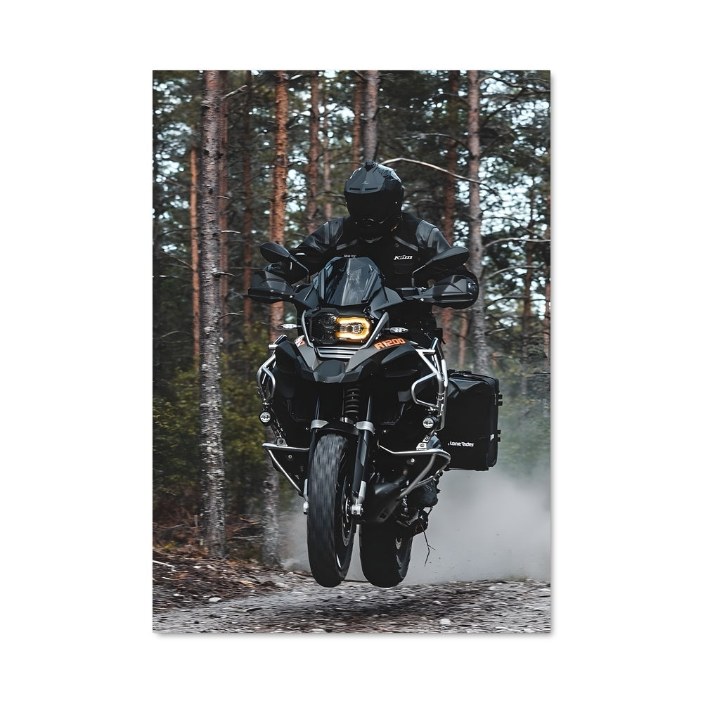 Poster R 1250 gs 81972