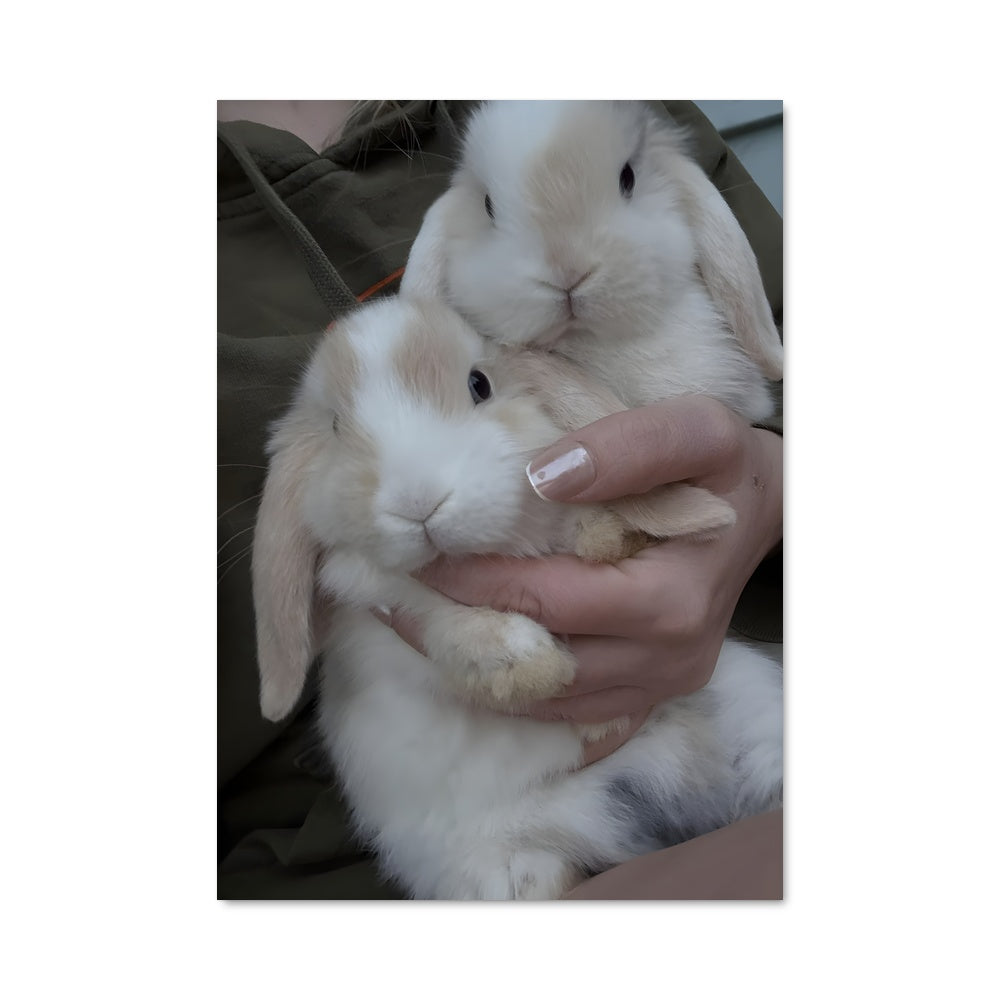 Rabbit Poster – Aesthetic Posters
