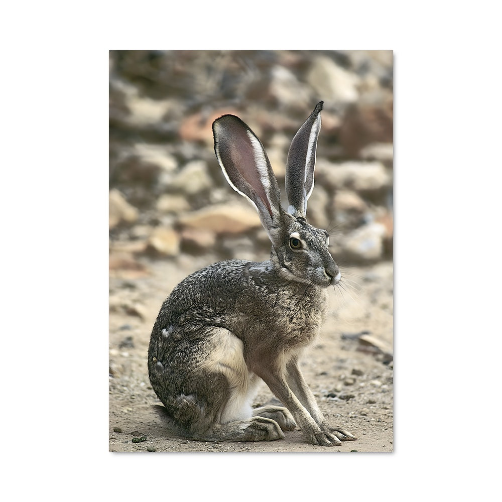 Poetic Rabbit Poster – Aesthetic Posters