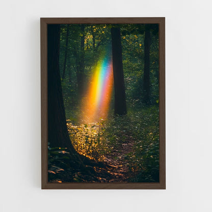 ap-rainbow arc-5 cadre Bois foncé