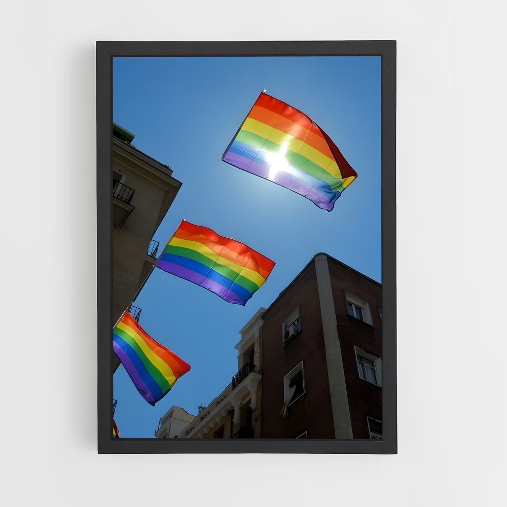 ap-rainbow flag-3 cadre Noir