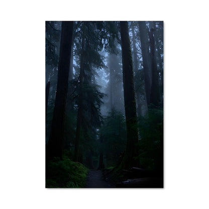 Poster Sentier Mystique