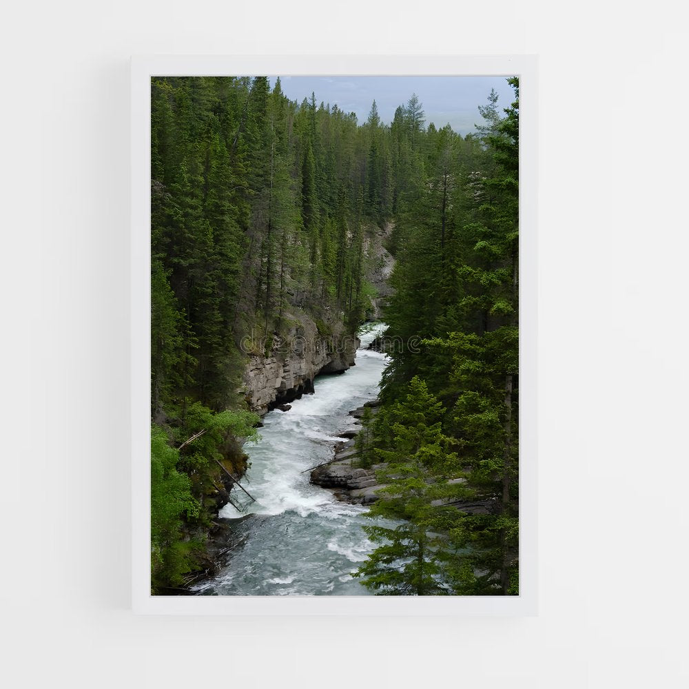 ap-rapids-2 cadre Blanc