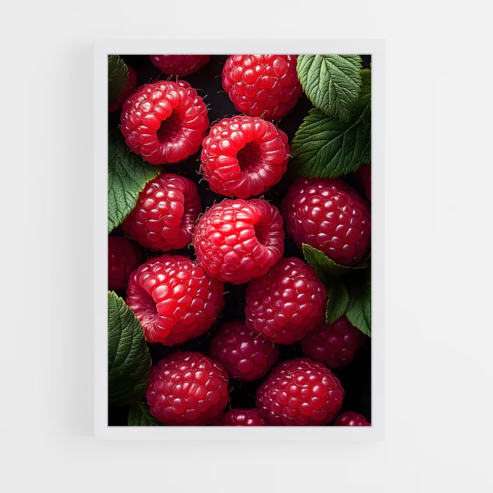 ap-raspberry-2 cadre Blanc