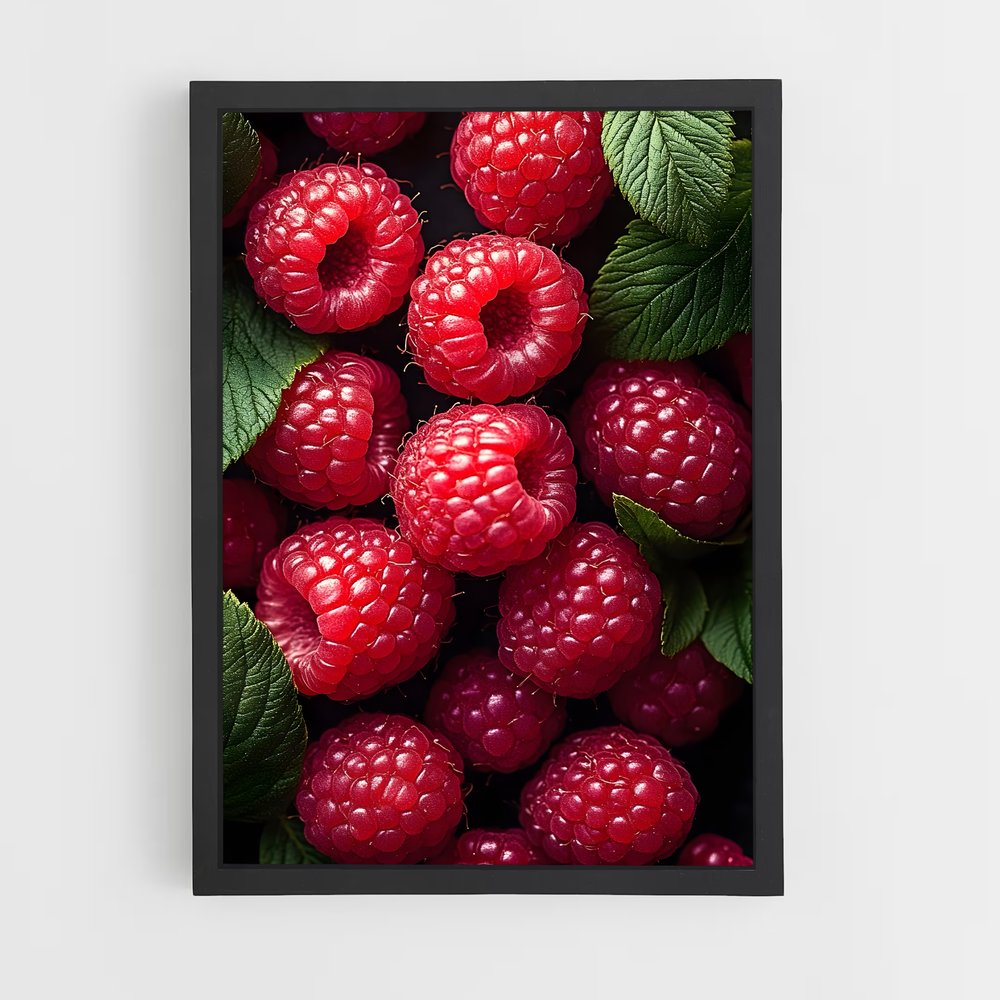 ap-raspberry-2 cadre Noir