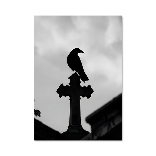 Poster Raven 84226